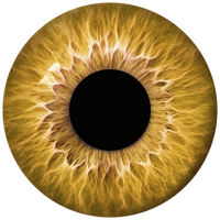 Lens 5