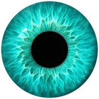 Lens 3