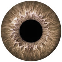 Lens 4