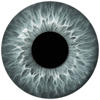 Lens 2