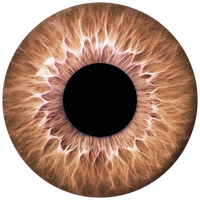 Lens 1